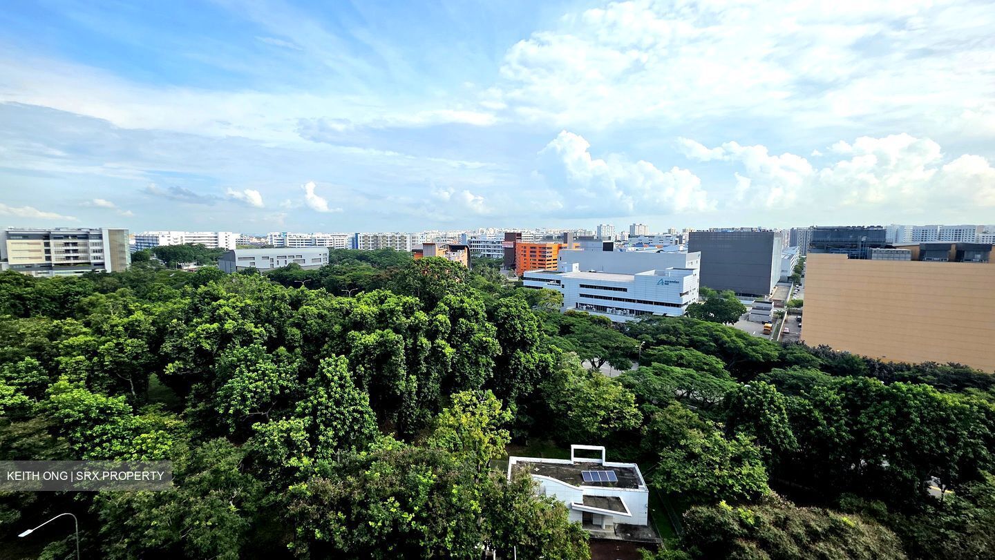 Treasure at Tampines (D18), Condominium #587738101